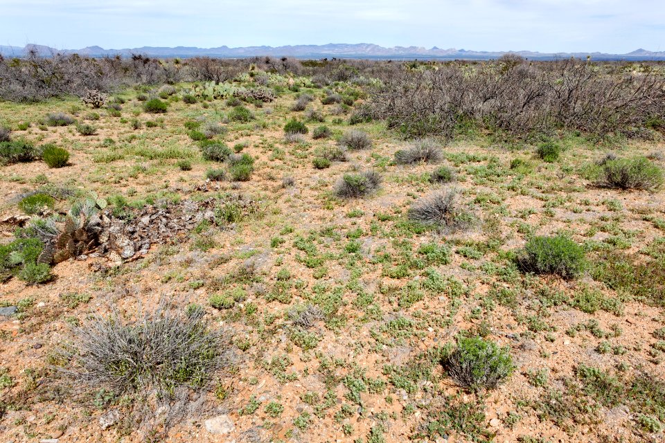 North-northwest of Onion Springs Peak