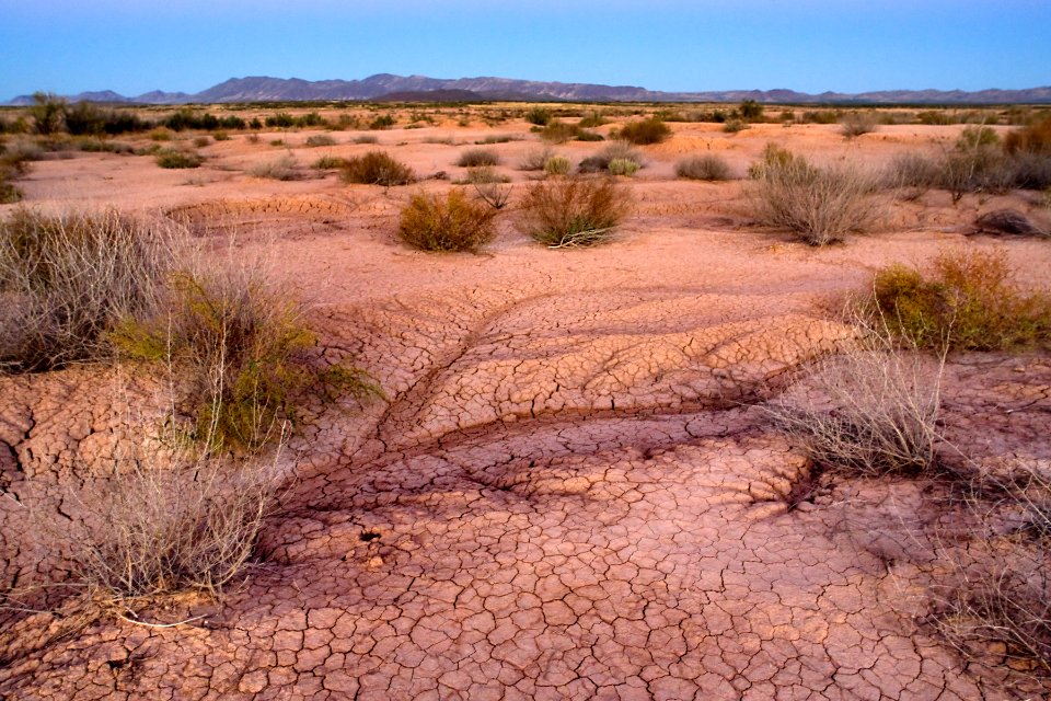 Floodplain of the San Simon River