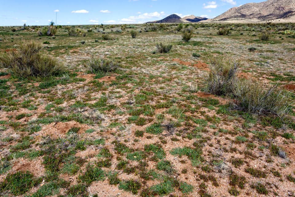 Northeast of Lordsburg