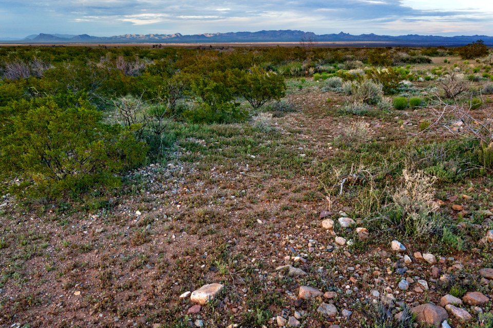 North-northeast of Onion Springs Peak