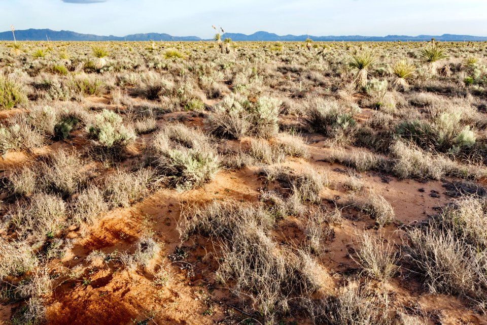 Northern Jornada del Muerto Plain