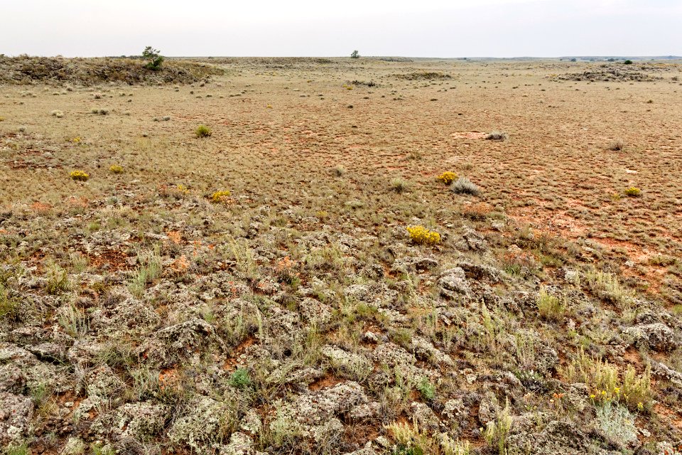 Southwest of Grants Malpais