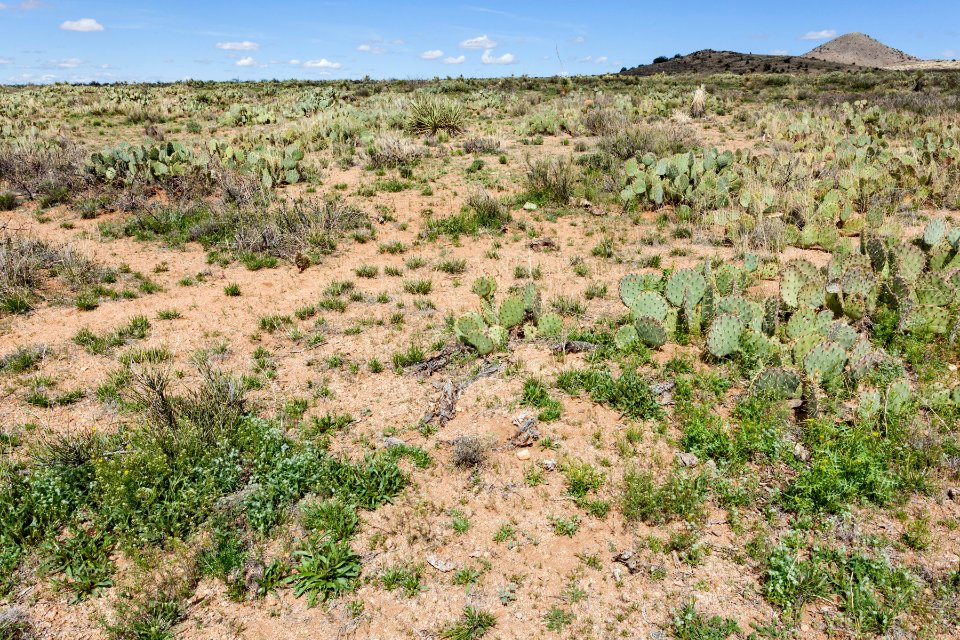 Northeast of Lordsburg