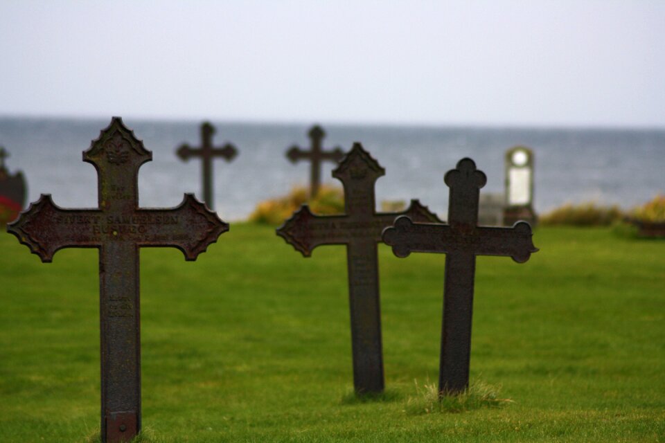 Sea grass graveyard