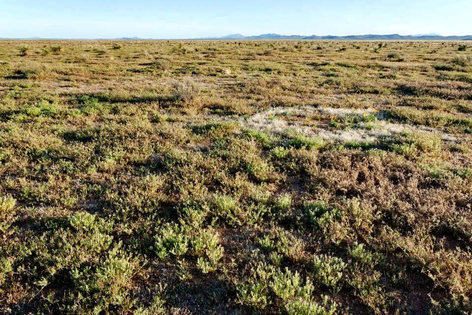 North-northeast of Pigeon Hill