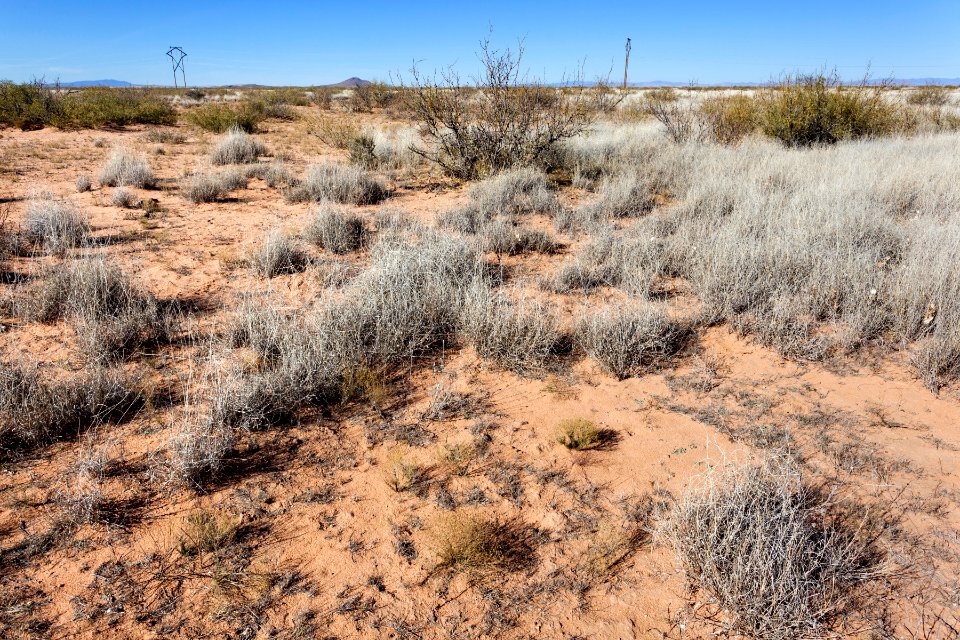 Plains west of Deming