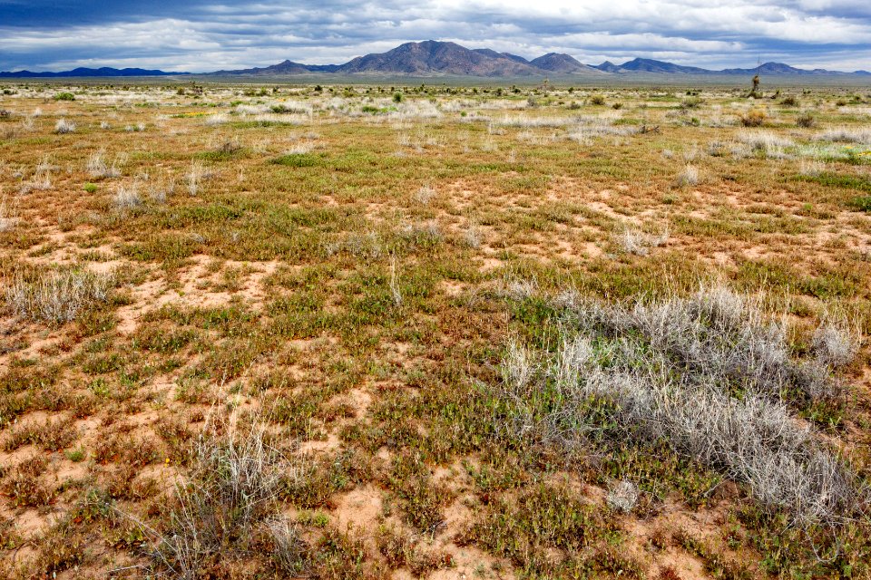 North-northeast of Lordsburg