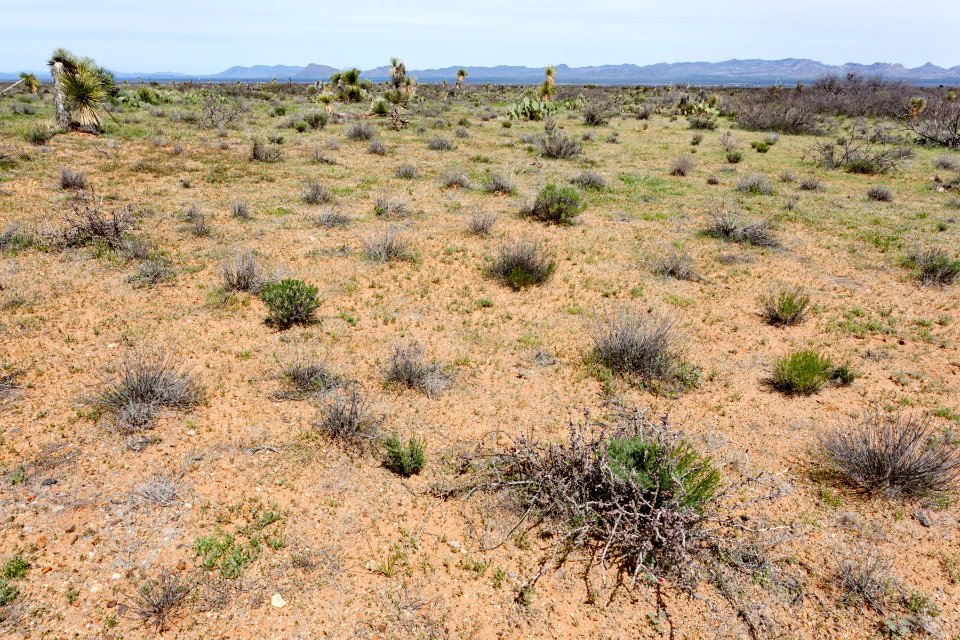 North-northwest of Onion Springs Peak