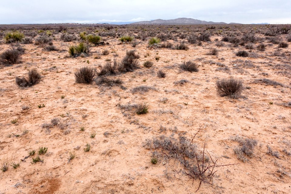 Jornada del Muerto Plain