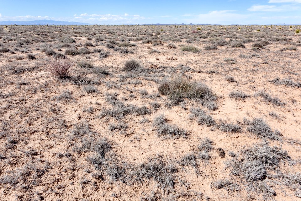 Jornada del Muerto Plain