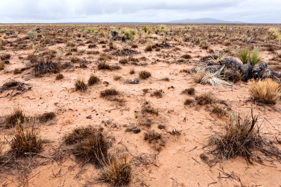 Jornada del Muerto Plain
