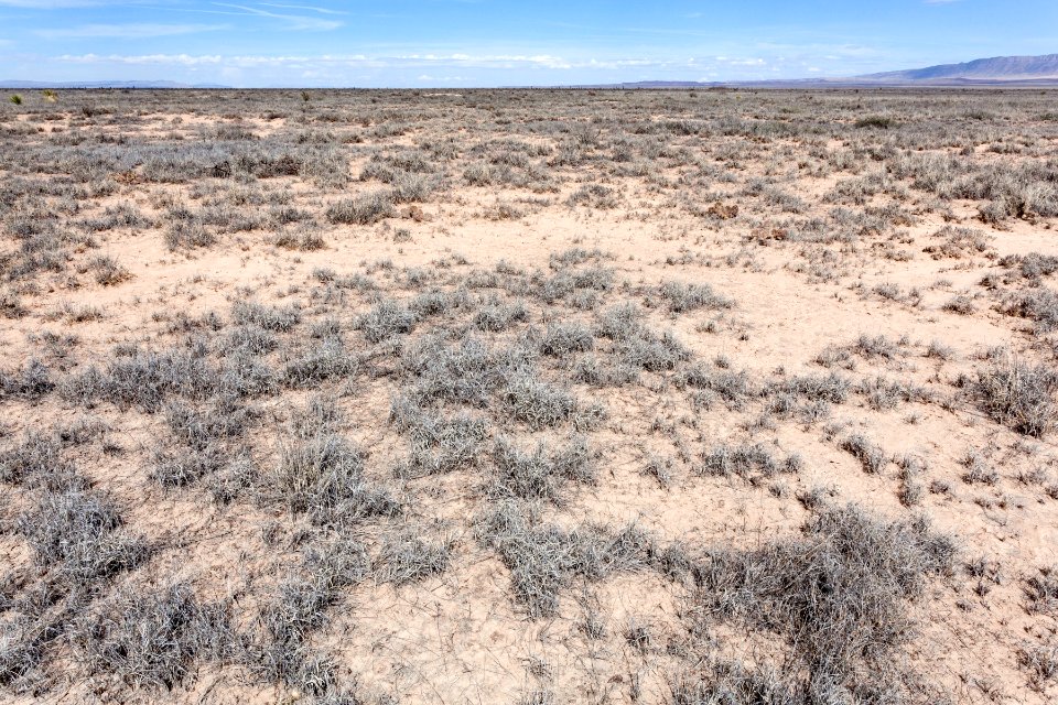 Jornada del Muerto Plain