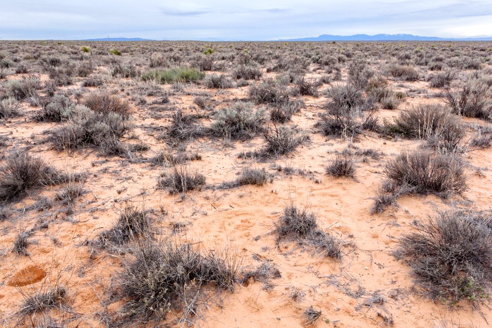 Jornada del Muerto Plain
