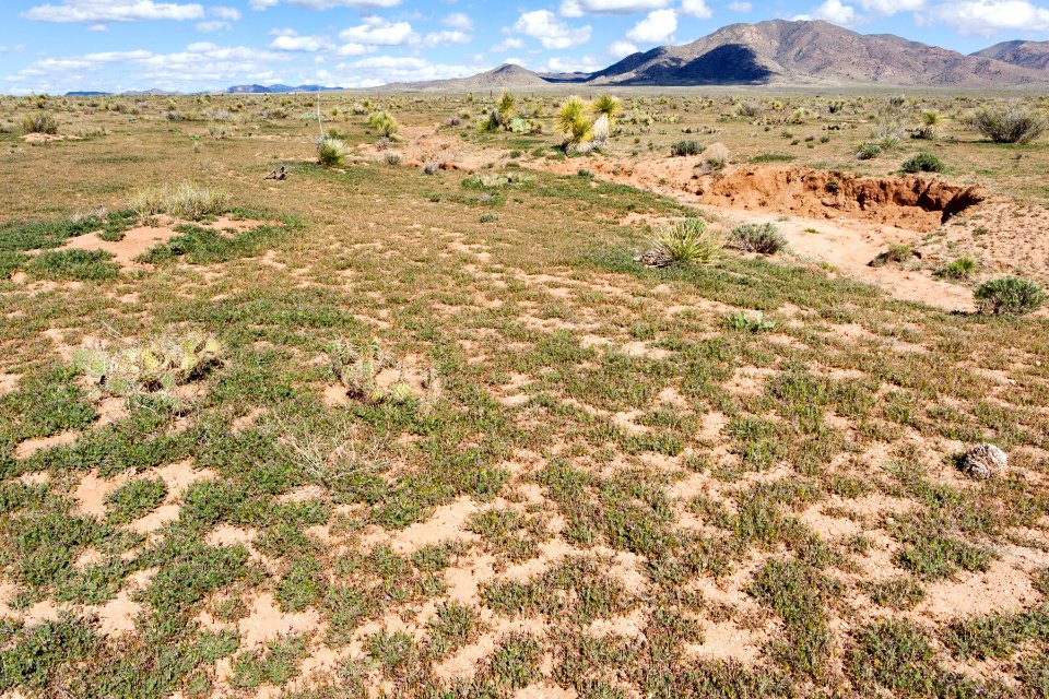 Northeast of Lordsburg