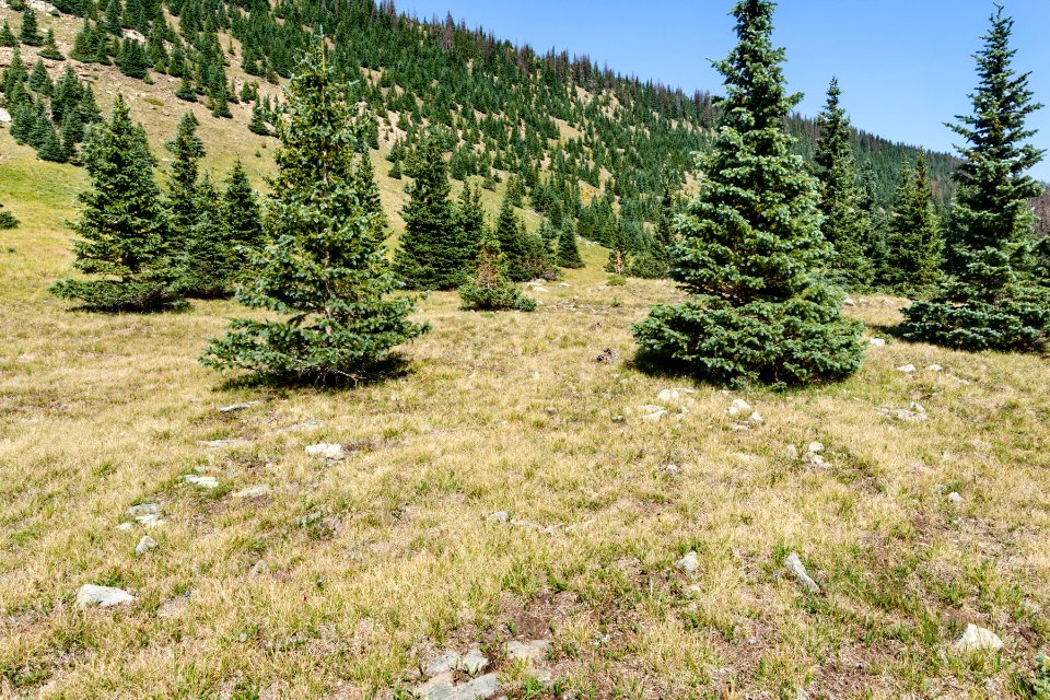 East-northeast of Chimayosos Peak