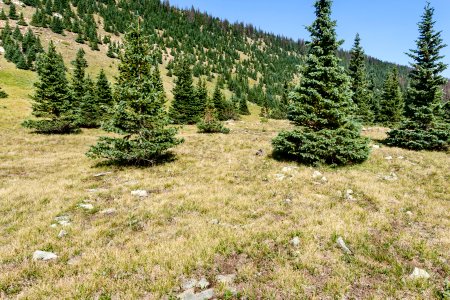 East-northeast of Chimayosos Peak