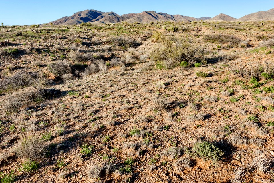 South of Apache Mountain