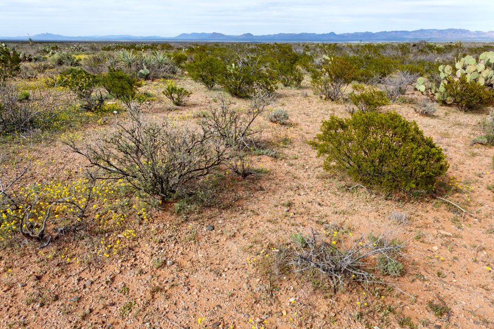 North-northwest of Onion Springs Peak