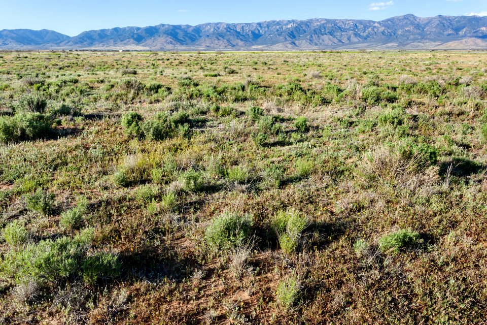 East of Grant Draw