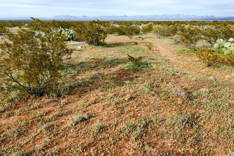 North of Onion Springs Peak