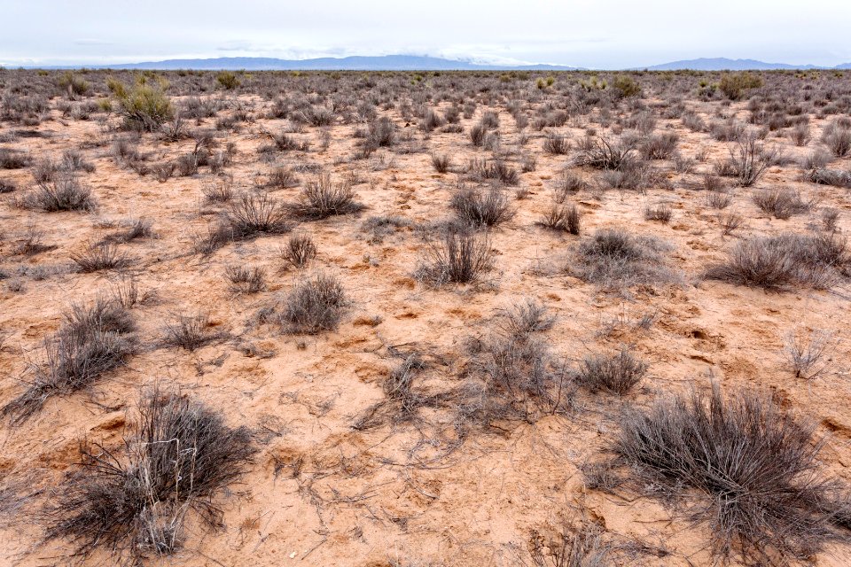 Jornada del Muerto Plain