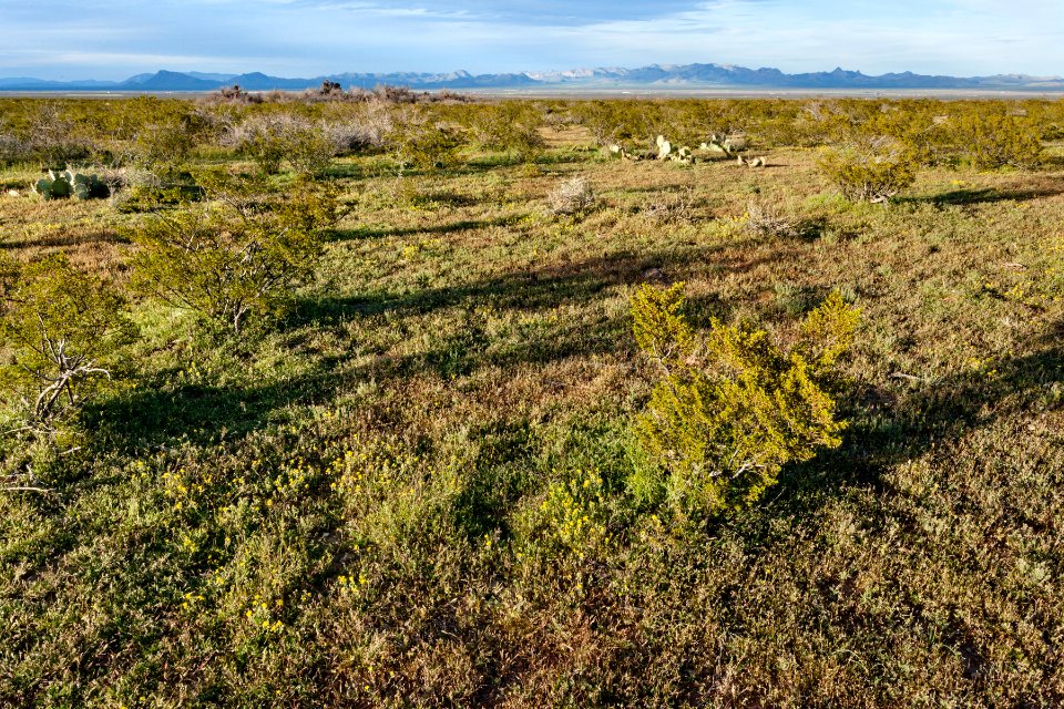 North-northeast of Onion Springs Peak
