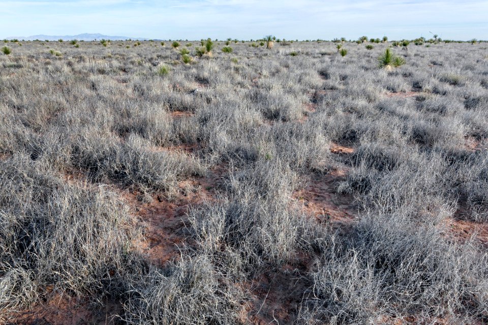 Jornada del Muerto Plain