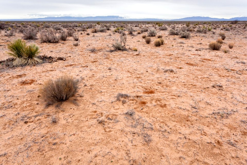 Jornada del Muerto Plain