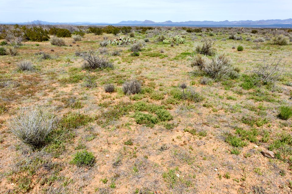 North-northwest of Onion Springs Peak
