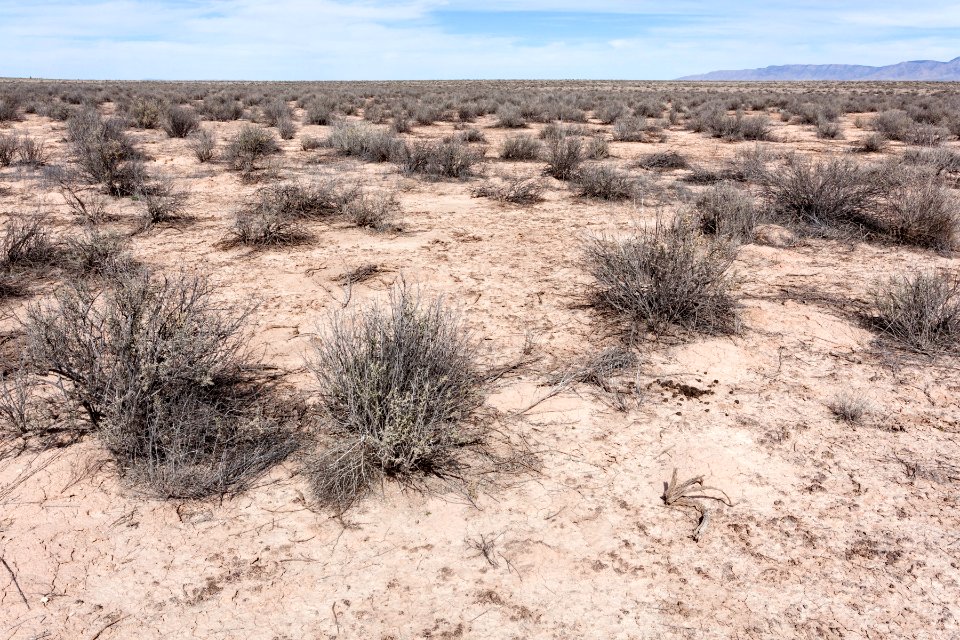 Jornada del Muerto Plain