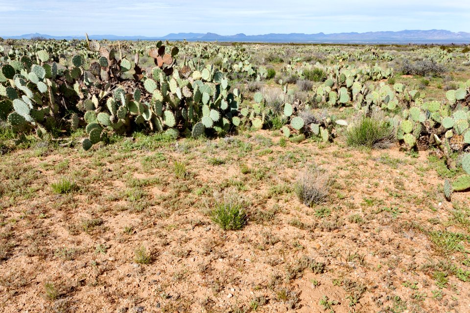 North-northwest of Onion Springs Peak