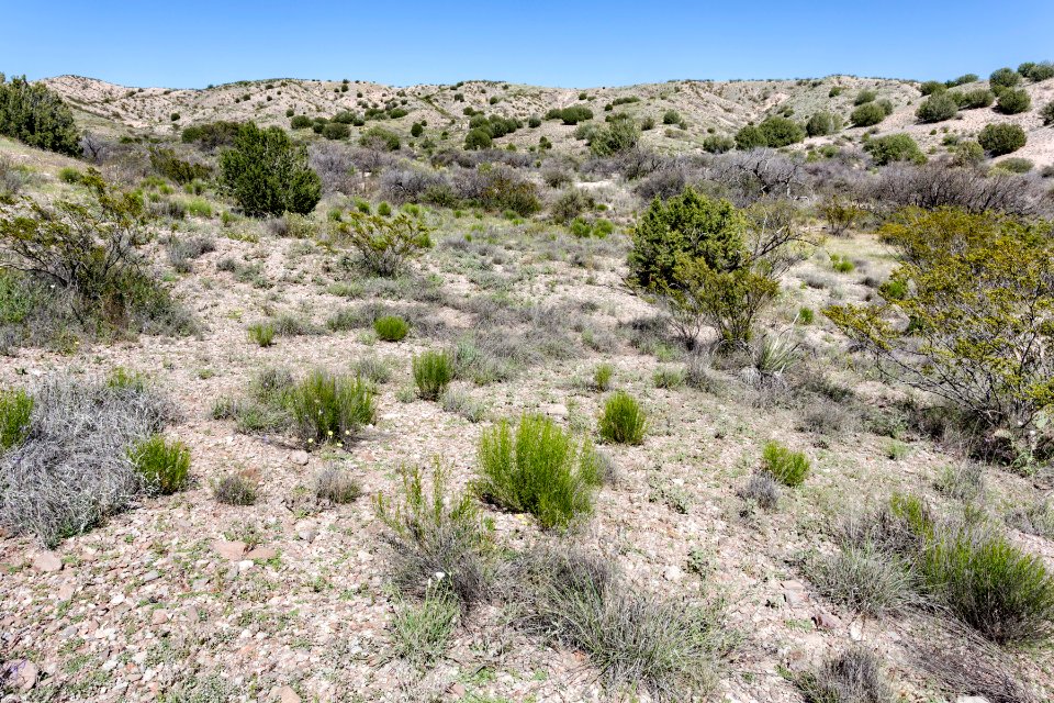 North-northeast of Caprock Mountain