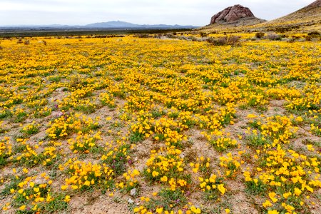 West of Dragon Ridge