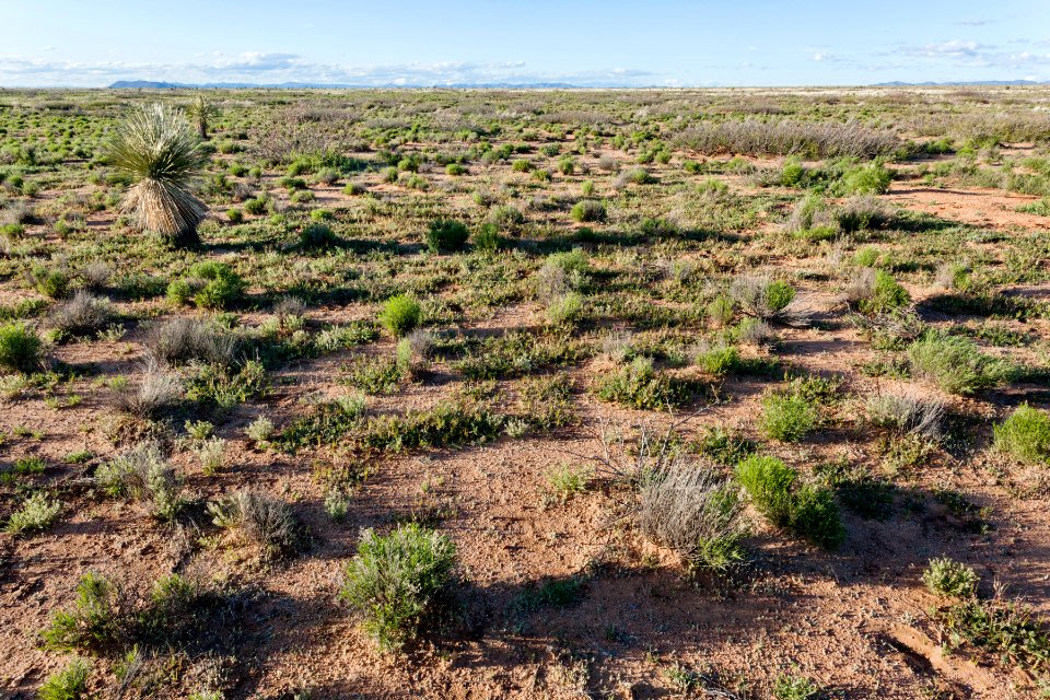 West-northwest of Apache Mountain