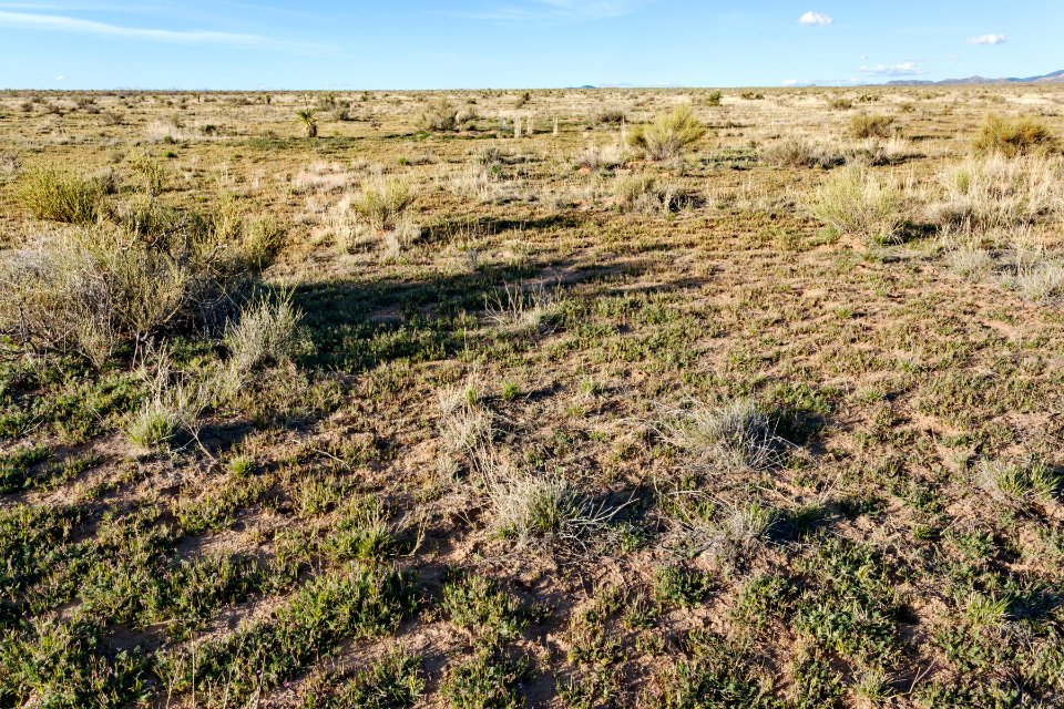 North-northeast of Lordsburg