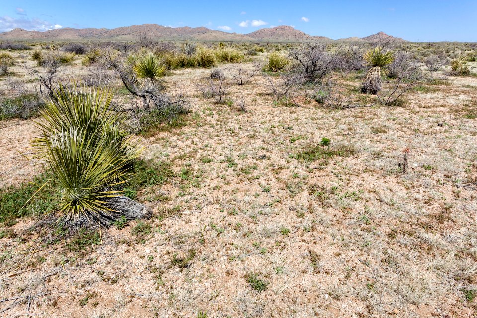 South-southeast of Apache Mountain