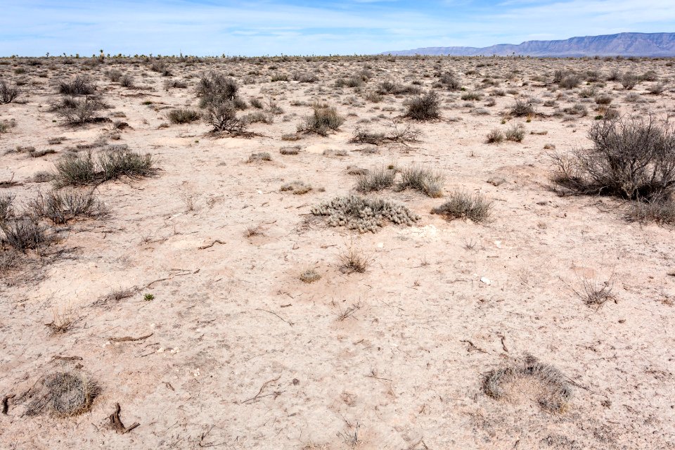 Jornada del Muerto Plain