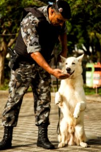 21.05.2019 - Prefeita Paula Mascarenhas realiza o lançamento do Selo Empresa Amiga dos Animais - Foto: Gustavo Vara