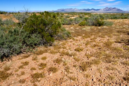 Near Gold Gulch