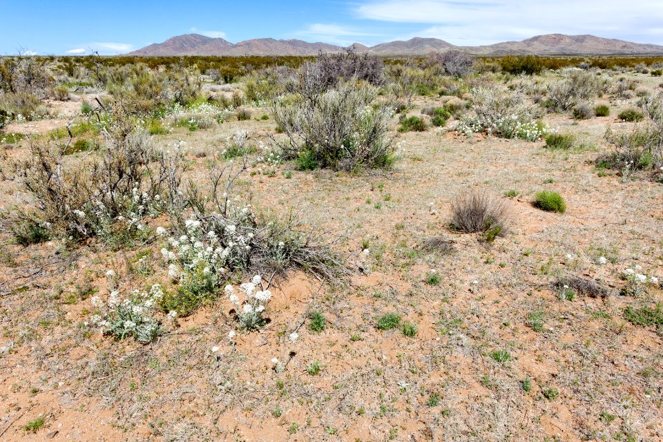 South of Apache Mountain