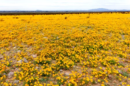 West of Dragon Ridge