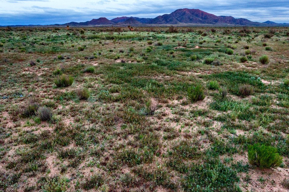 North-northeast of Lordsburg