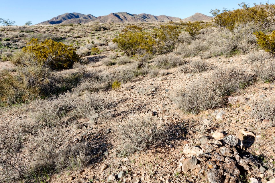 South of Apache Mountain