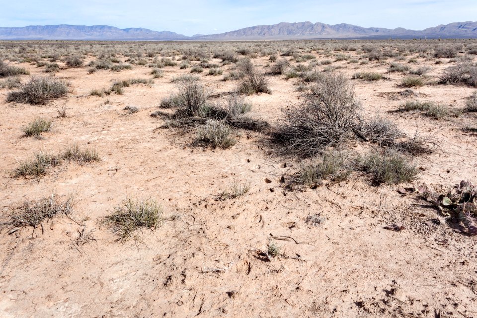 Jornada del Muerto Plain