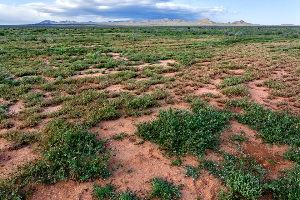 South-southeast of Apache Mountain