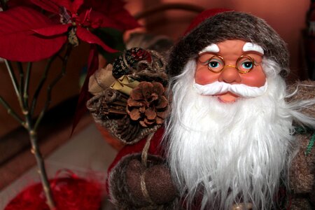 Santa claus grey bart