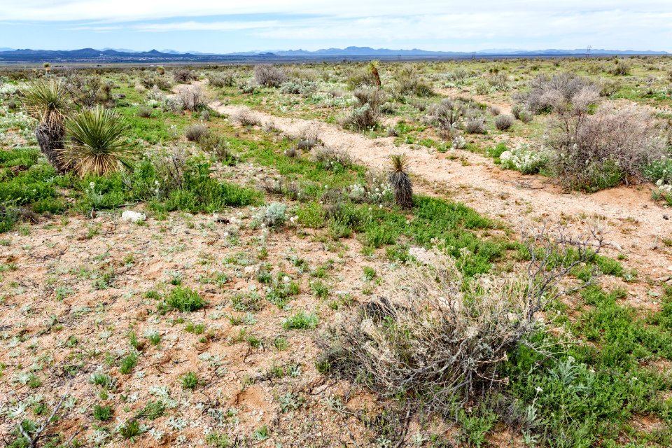 East-northeast of Lordsburg