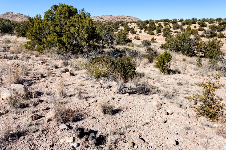 East-northeast of Pyramid Mountain