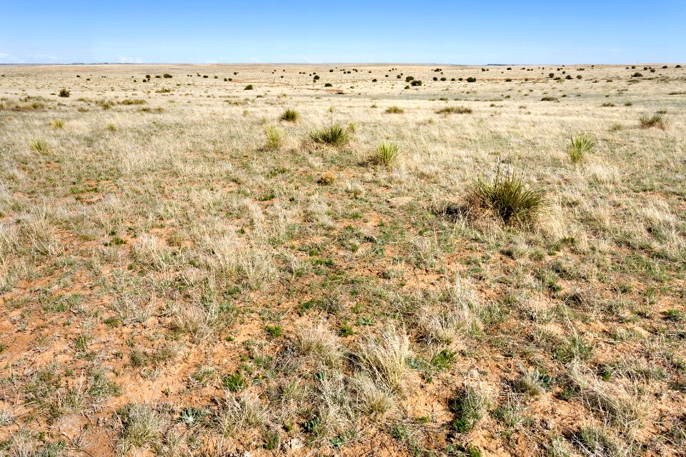 Near Virgil Well