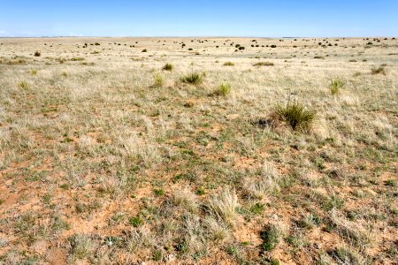 Near Virgil Well